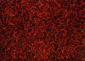 abstrait